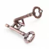 brain teaser, puzzle toy, lock puzzle, brain teaser toy, key lock puzzle, metal brain teaser