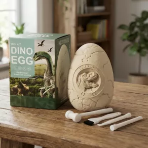 dinosaur egg fossil
